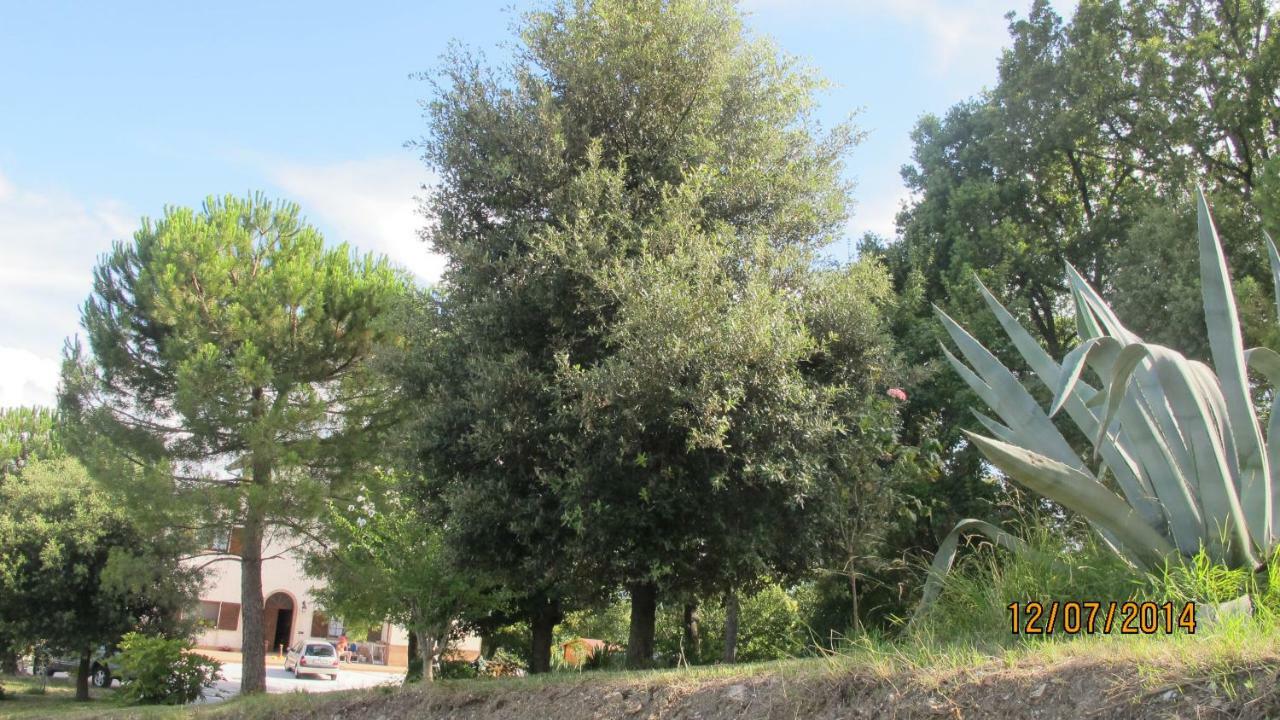 Locanda Al Coppo Monte Grimano Terme Exterior foto